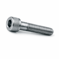 Socket Screws